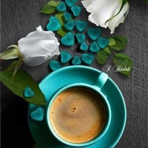 Meet your Posher, Janet